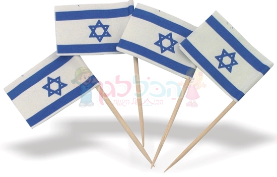 תמונה של דגל לאום קיסם קטן 100 יח'
