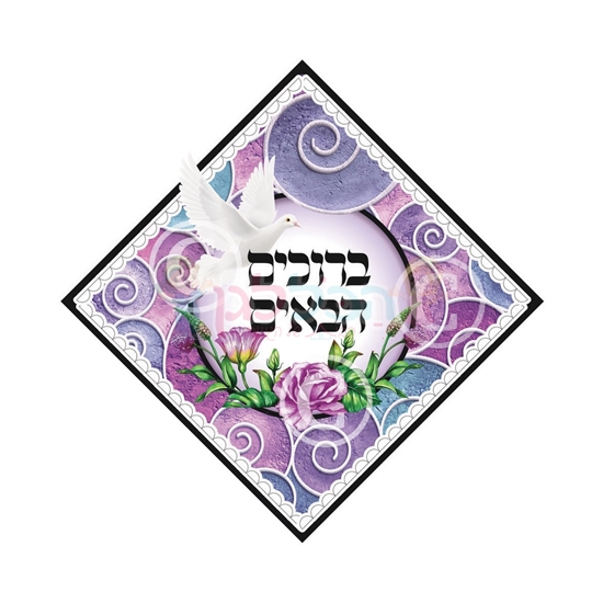 תמונה של פלקט - ברוכים הבאים