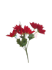 תמונה של זרים מיוחדים